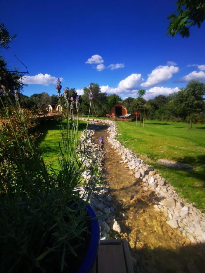 Camping Les Pres Du Roi Sommières Exterior foto